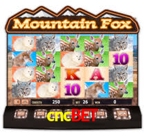 cncbet,cncbet.com