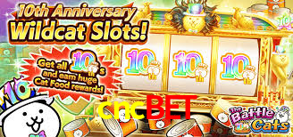 cncbet